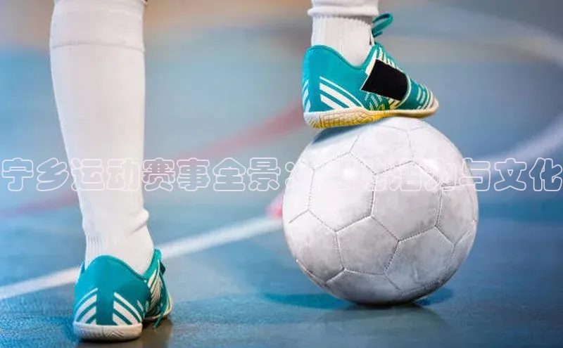 B体育官方入口APP