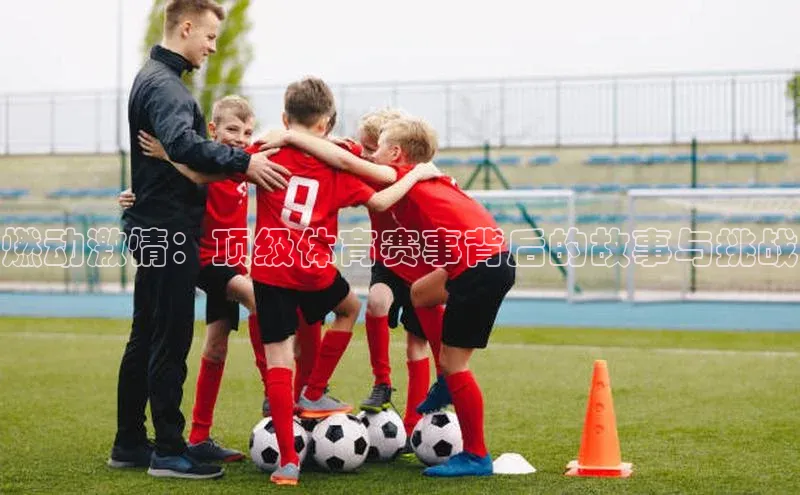 b体育官方下载入口最新版