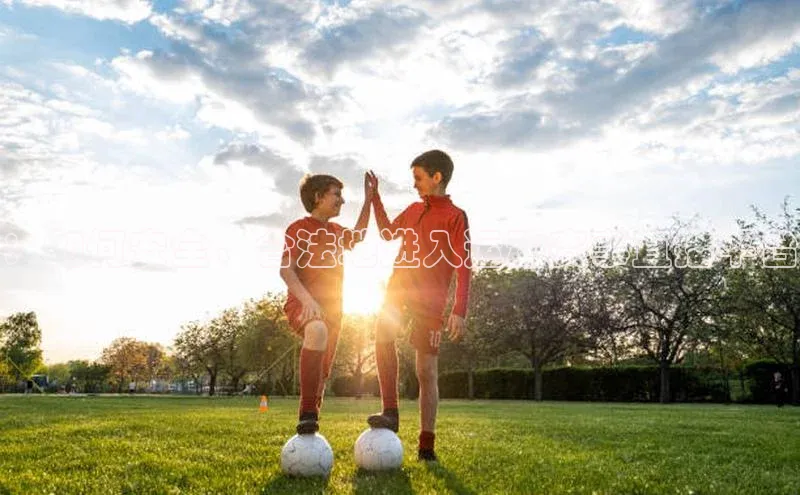 b体育在线登录入口app免费下载