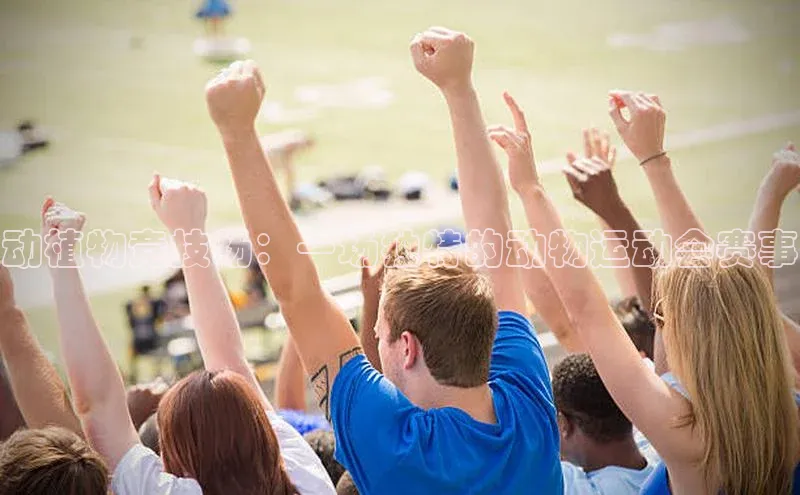 动植物竞技场：一场独特的动物运动会赛事
