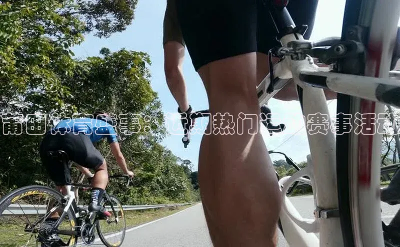B—sports旧版下载