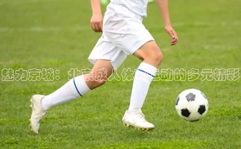 Bsport体育在线官网